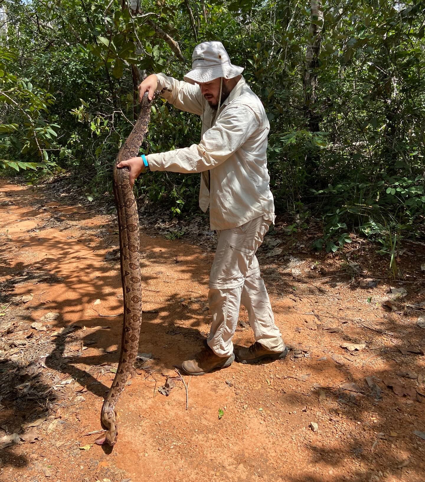 Cerrado: The Endemic Kingdom